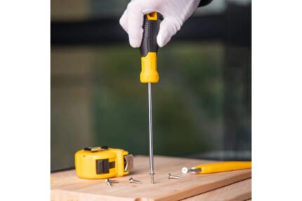 DELI PHILLIPS SCREWDRIVER PH1 X 100MM | DL635100