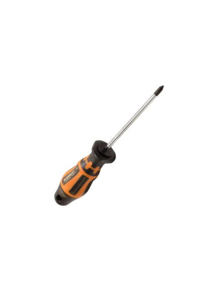 RETTA PHILLIPS SCREWDRIVER 1X100 | RPY5100