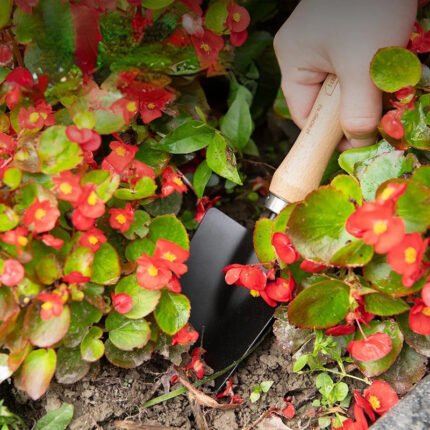 DELI GARDENING WIDE SHOVEL 31CM | DL580821