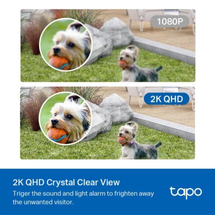 TP-LINK TAPO SMART WIRE-FREE SECURITY 2-CAMERA SYSTEM | C420S2