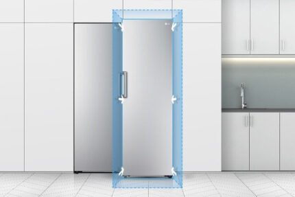 LG REFRIGERATOR SINGLE DOOR 384L | GC-F511ELDM