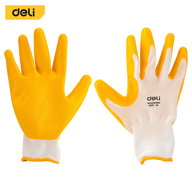 DL521031XL_2
