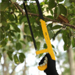 EDL6008_5