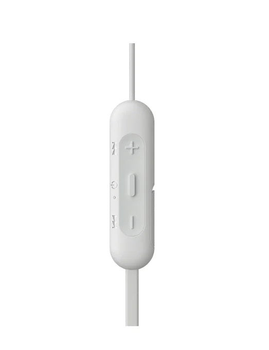 WI-C310_1