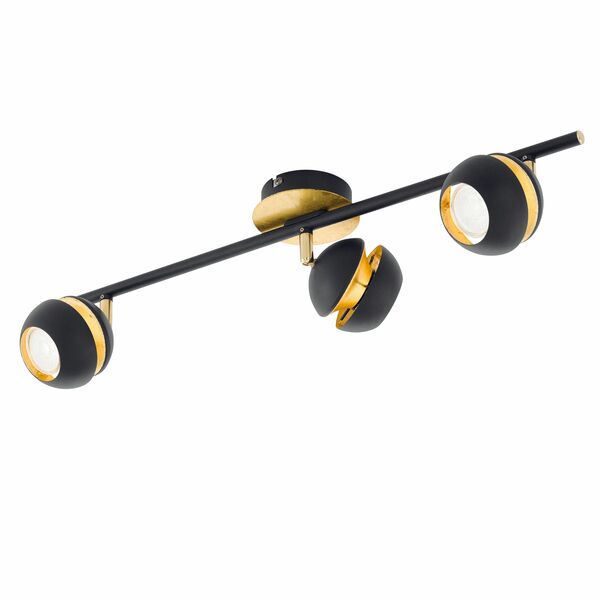 egl00318_1